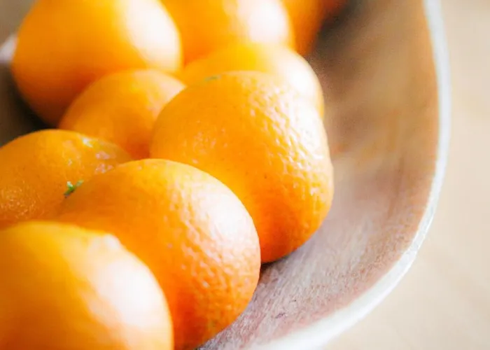 度假居 No Jardim Dos Aromas *